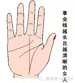 AI智能手相在线诊断与运势分析测试
