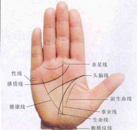 AI智能手相在线诊断与运势分析测试