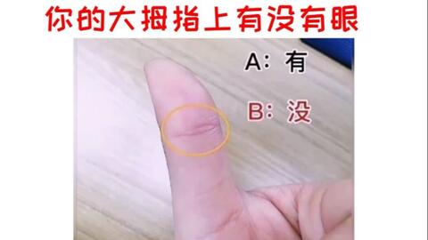 手相ai测试报告怎么删除