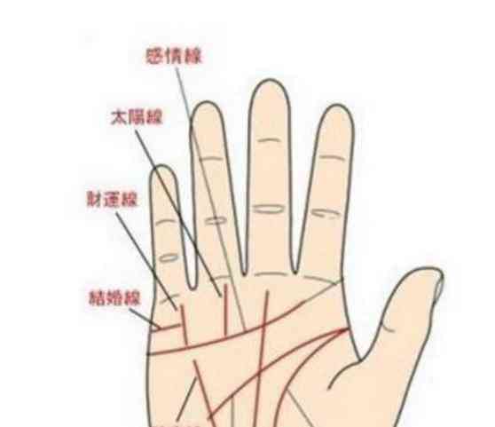 手相ai测试报告怎么删除