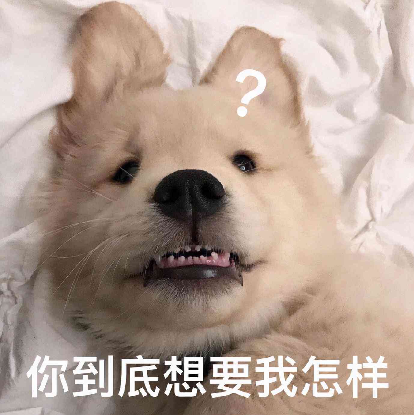 幽默文案爱情：短句句子语录，幽默爱情集锦