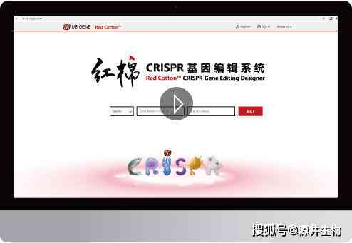 全方位智能写作助手：一键解决文章创作、编辑与优化需求