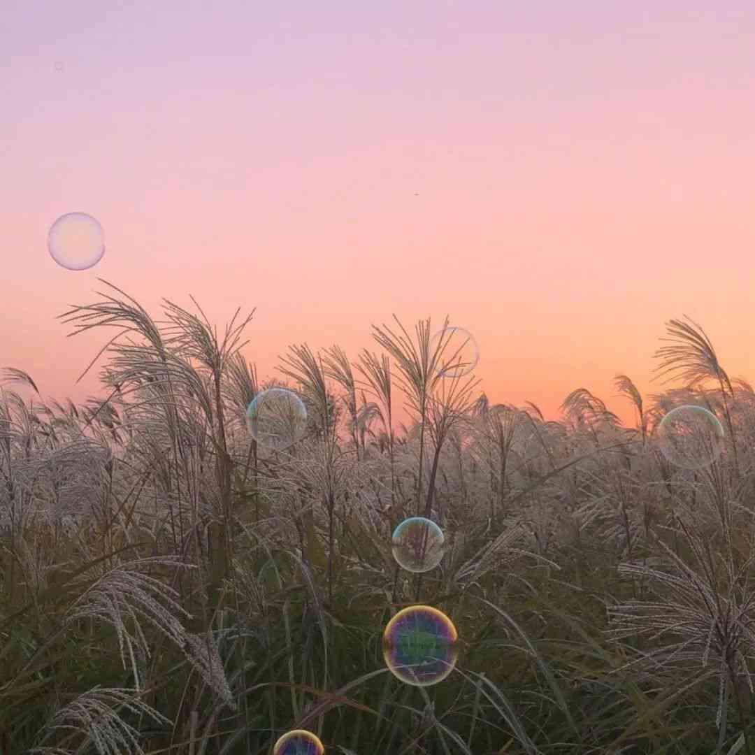 舞蹈文案短句干净治愈，治愈阳光、朋友圈、俏皮幼儿与开心舞动