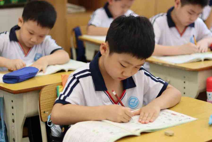 写作鱼ai小程序是什么及其意思解析