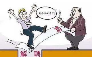 到遭解雇：探讨上班到被辞退的合法性及劳动权益保护