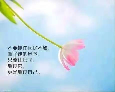 负重前行的唯美短句：经典文案与说说汇总