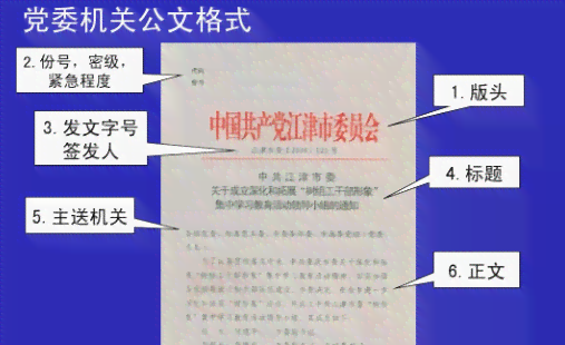 官方推荐：全方位体制内AI写作助手——高效解决公文、报告、文章创作需求