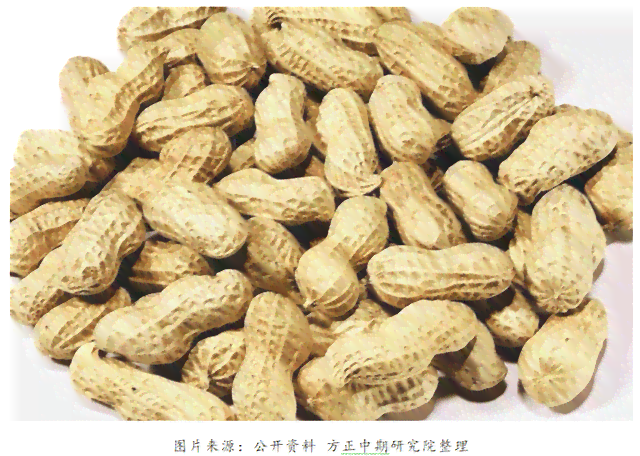 花生味花生酱解说这帮植物有点憨：二代结局及鉴版花生酱解说