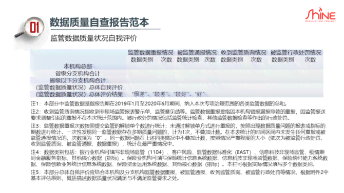 数据整改报告样板：撰写指南与方案示例