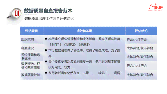 数据整改报告样板：撰写指南与方案示例