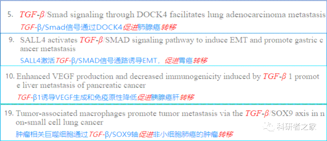 盘点热门AI英语写作助手：哪些功能特点让它们备受推崇