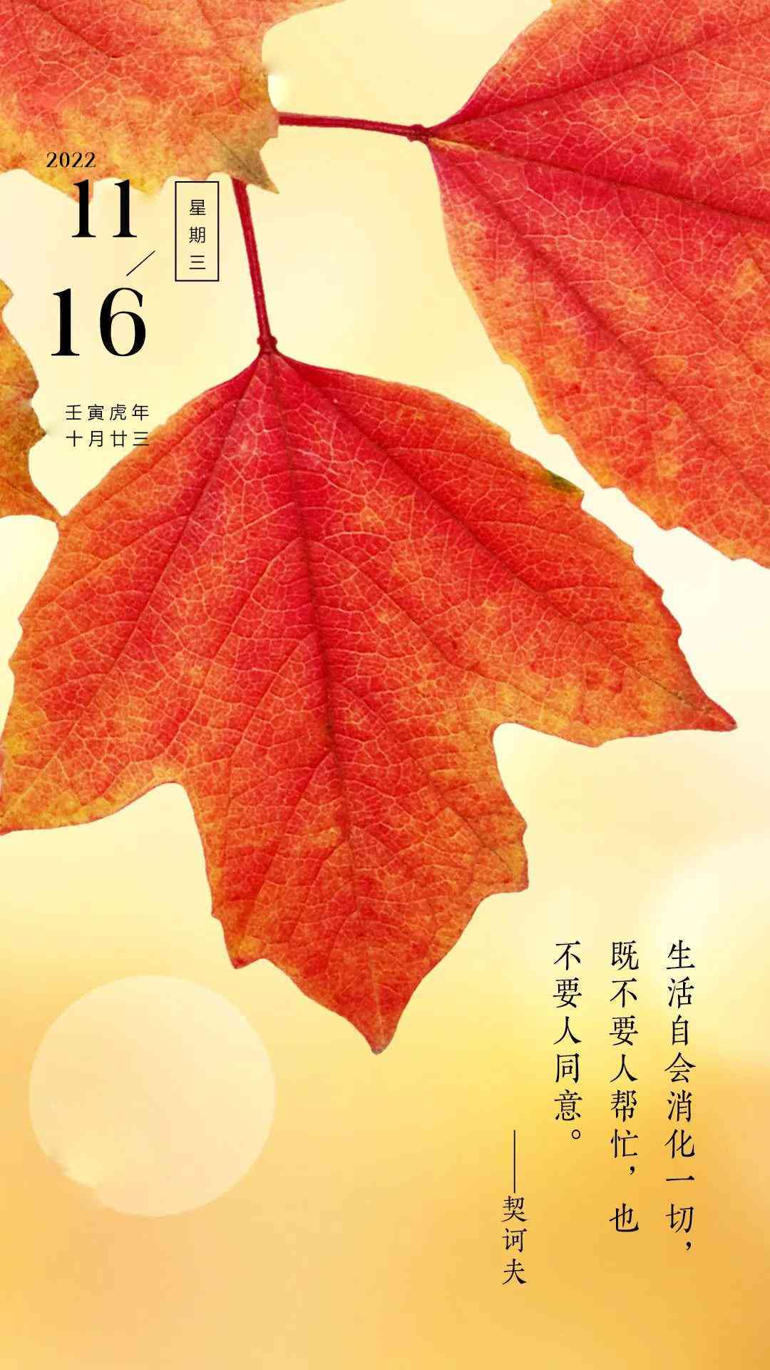 励志文案可复制：100字经典句子，20句简短精华，激发力量