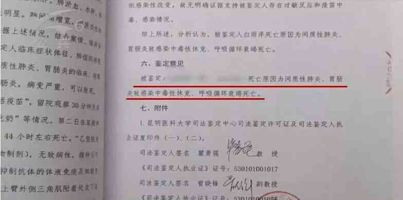 '工伤认定争议：不服工伤认定结果提起上诉状'