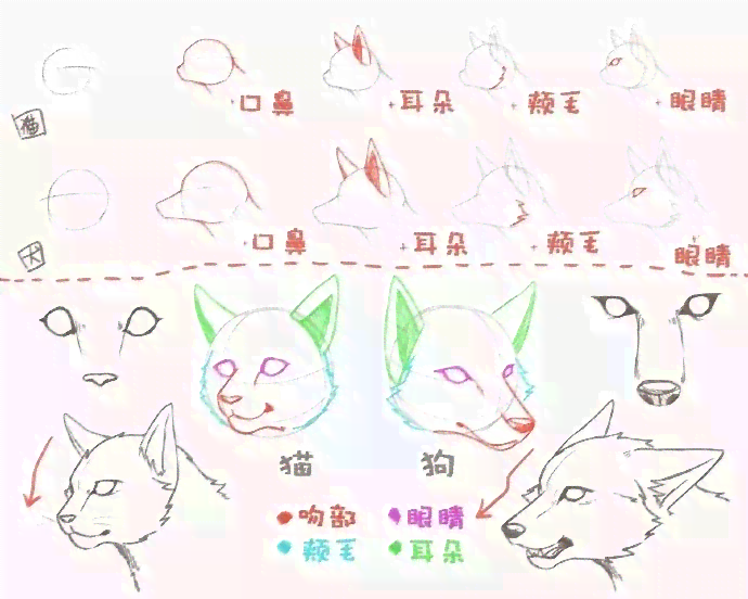 二次元宠物绘制攻略：全面教程与实用技巧，解决各种绘画难题