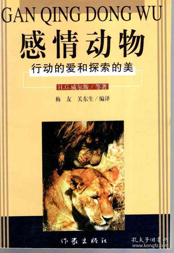 驯服心灵的篇章：探索情感与文字的和谐共鸣