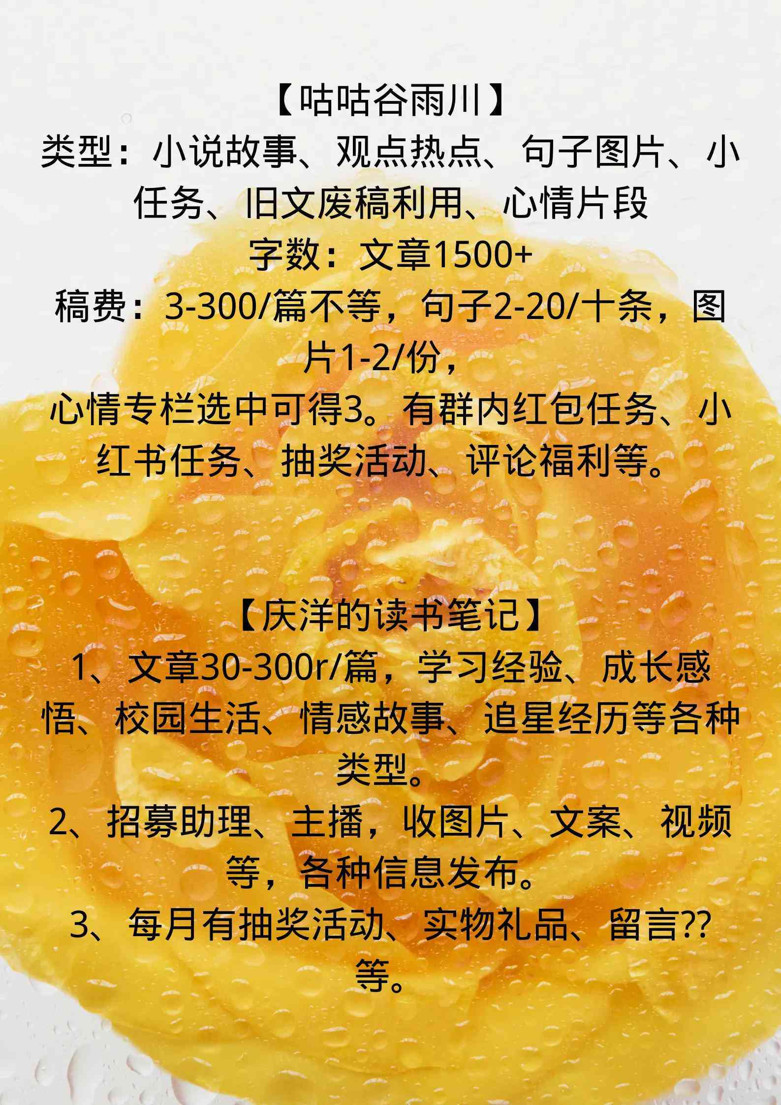 全方位盘点：主流新媒体写作平台一览及如何高效利用指南