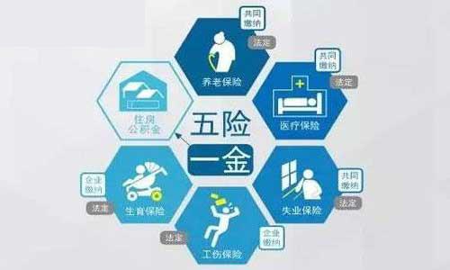 不交五险认定工伤后谁赔偿