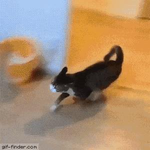 '猫咪秘塔：写作猫会员专享创作秘'