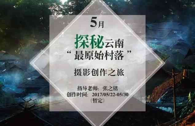 探索高效写作：盘点热门写文案推荐与评测