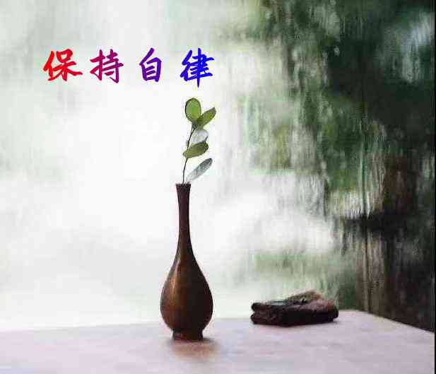 文言一心AI文案怎么用：一心文言表达，诠释一心一意古风意蕴