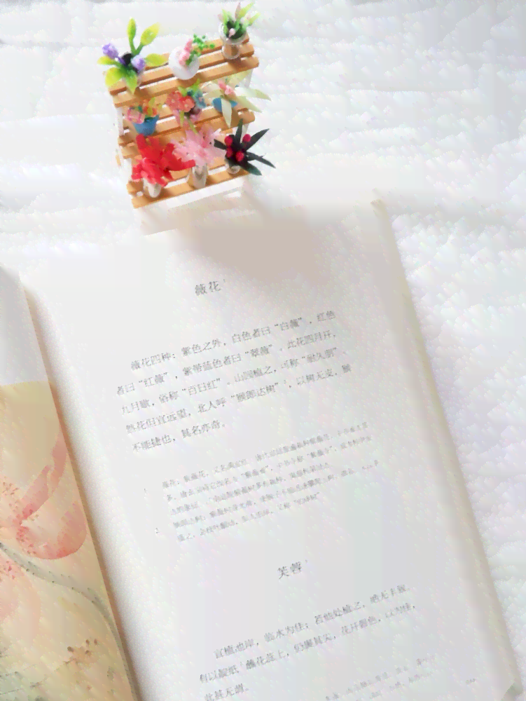时文案，美学生活指南