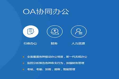 麦肯锡OA系统优化与高效办公解决方案