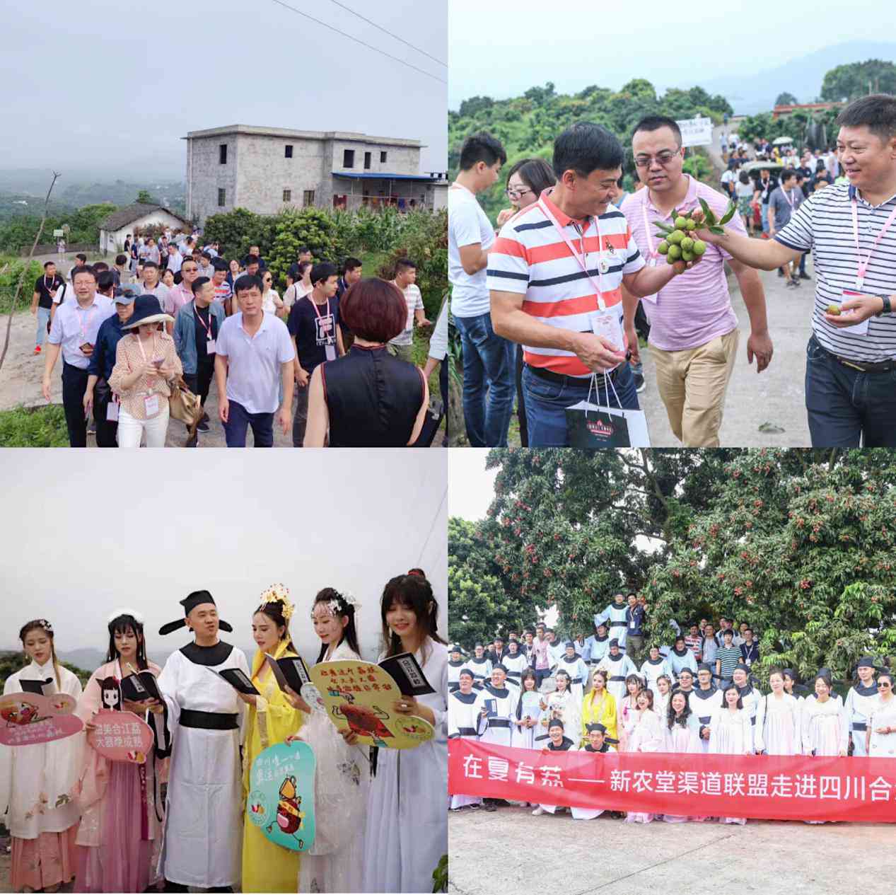 全面掌握AI思维：斑马AI思维培训课程，助力技能提升与行业应用