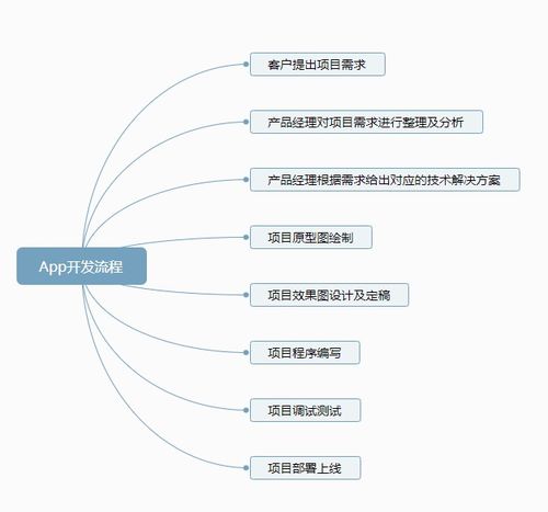 移动应用项目开发全流程总结：从需求分析到上线运营的关键要点解析
