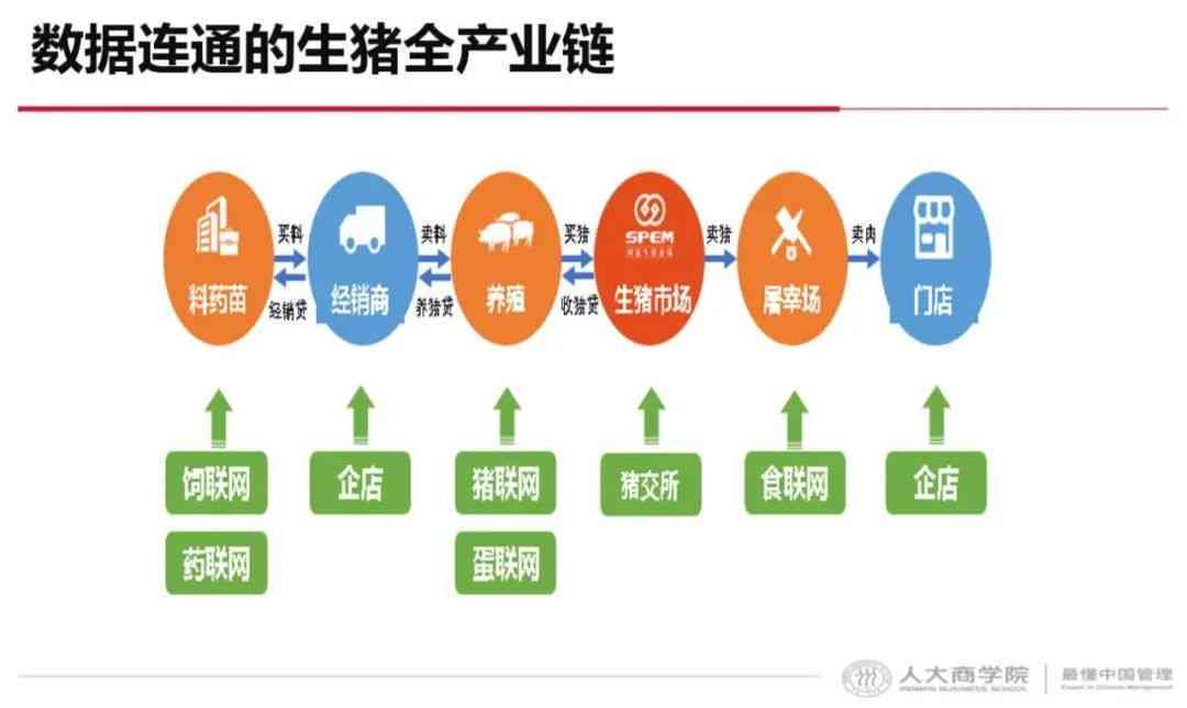 '智能猪场AI技术应用与成效分析报告'