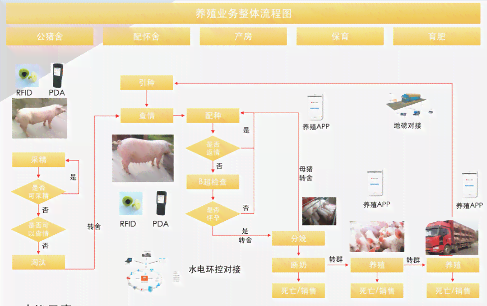 '智能猪场AI技术应用与成效分析报告'