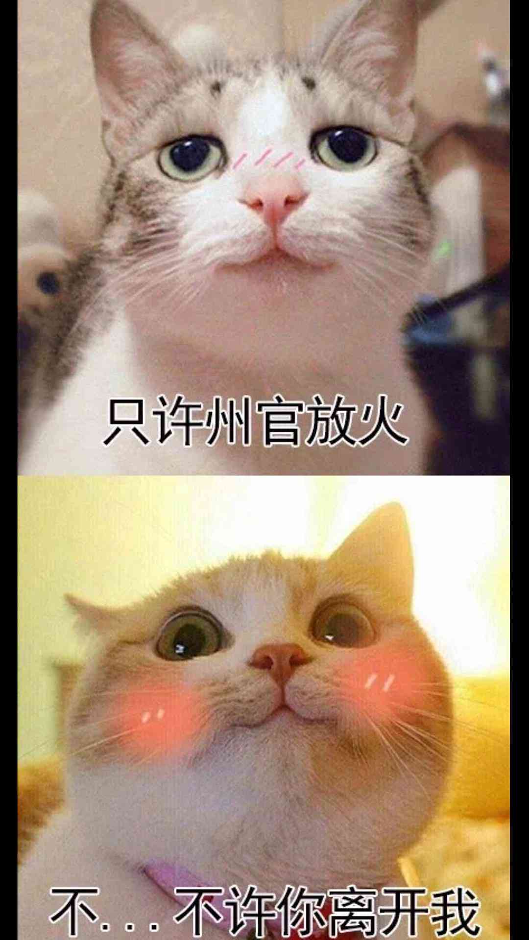表情转换的金句：揭秘变脸的艺术