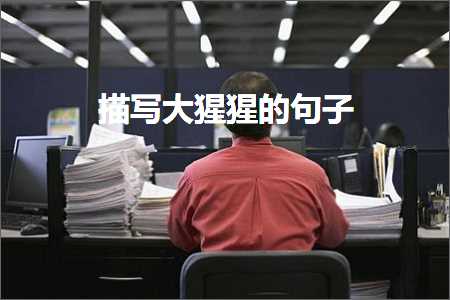 大猩猩文案：简短句子、搞笑说说及配文汇编
