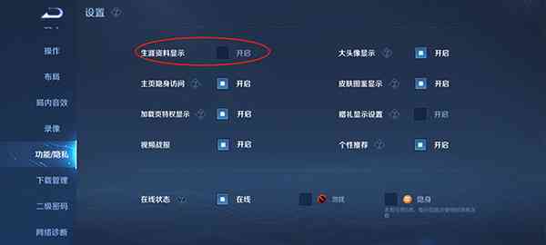 王者脚本2024：教程与安装地址大全