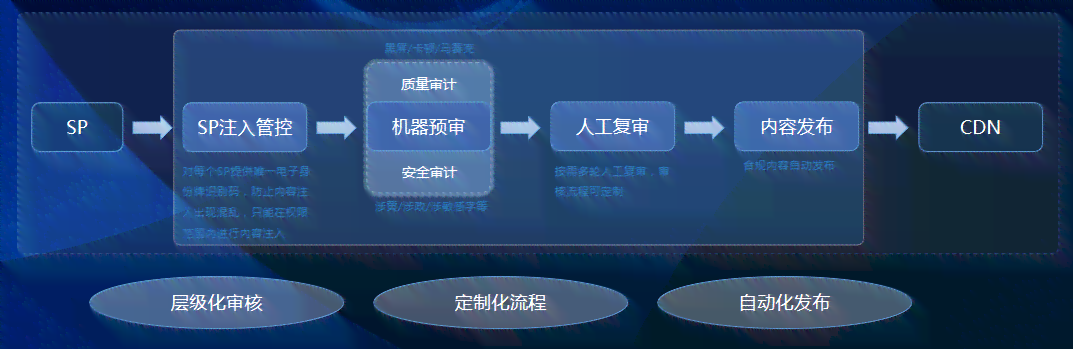ai审核方案报告