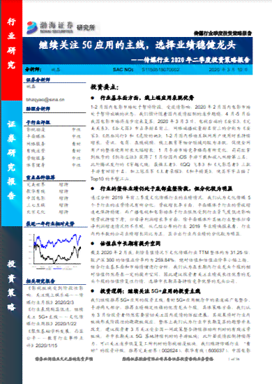 高公司报告：2020年度投资分析与总结报告