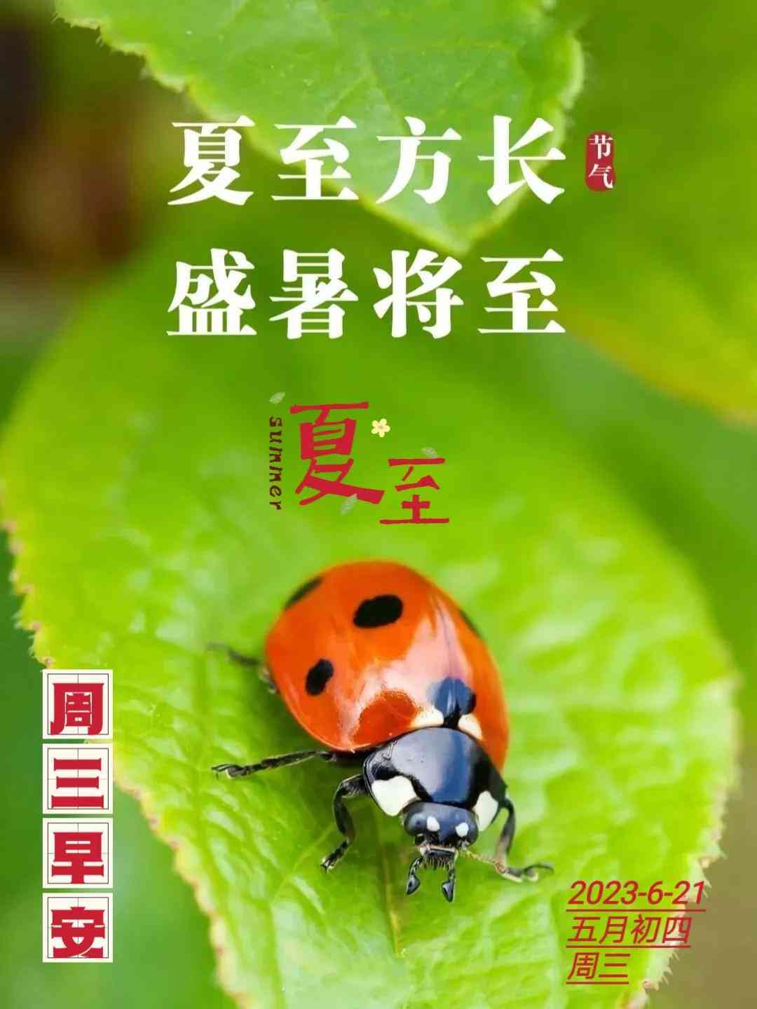 西瓜ai写作怎么提不出文案是什么原因