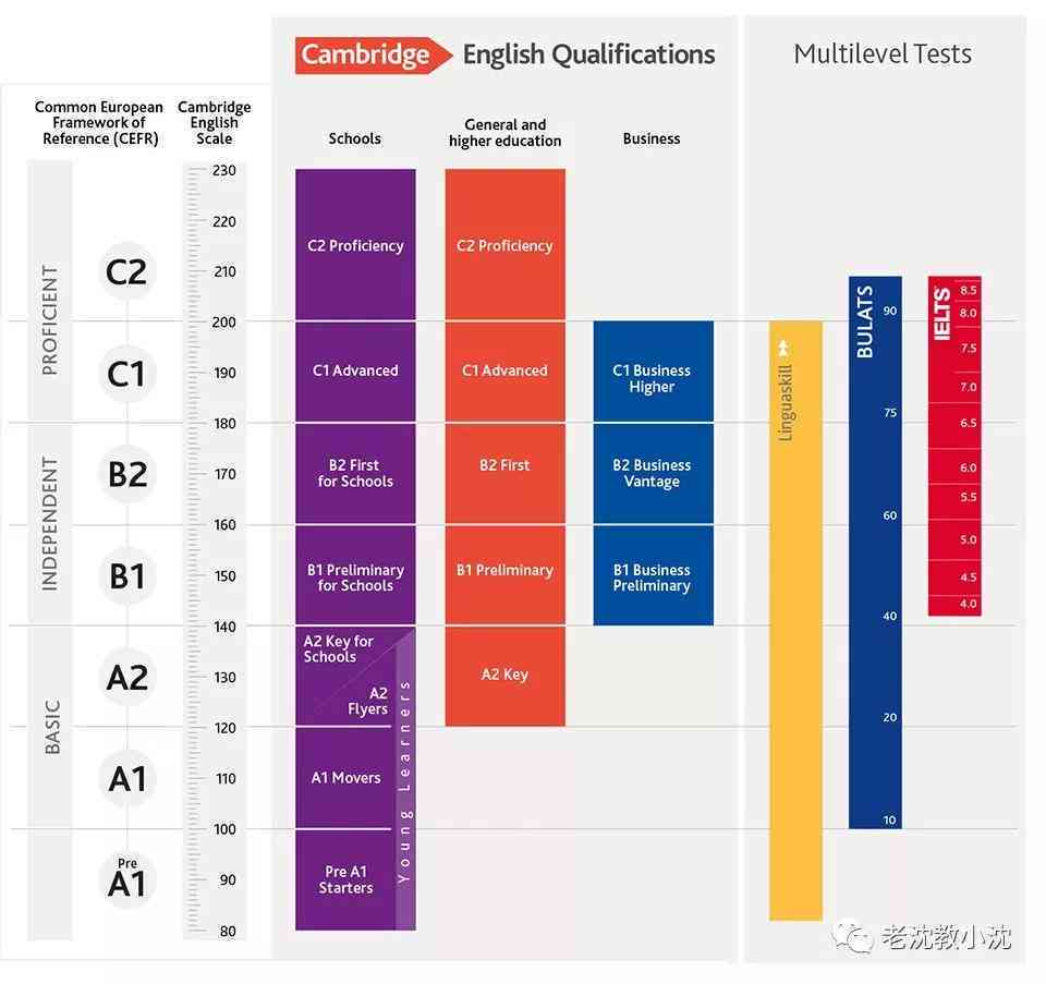 小学阶A1级别英语学状况综合分析报告