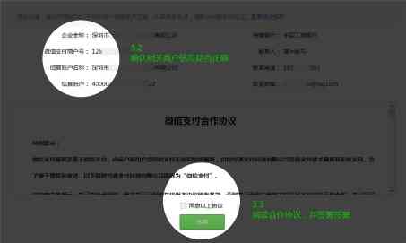 纯纯写作怎么用微信支付账号教程