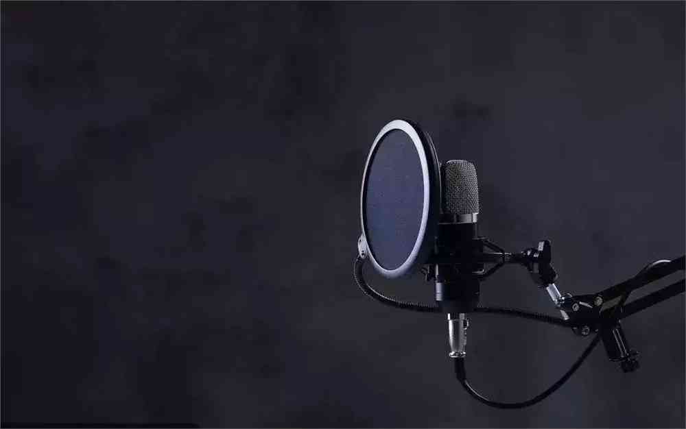 '专业文案配音技巧与实践指南：全面掌握声音演绎艺术'