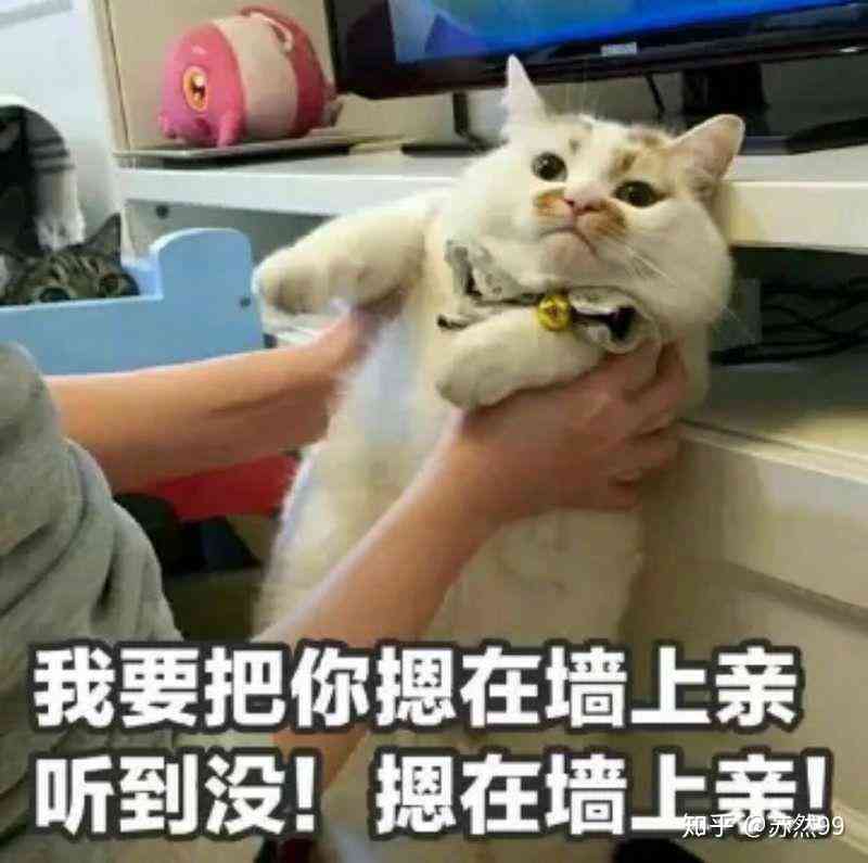抖音豆包的个人资料：揭秘抖音网红豆包歌手简介及所养猫咪豆包包信息