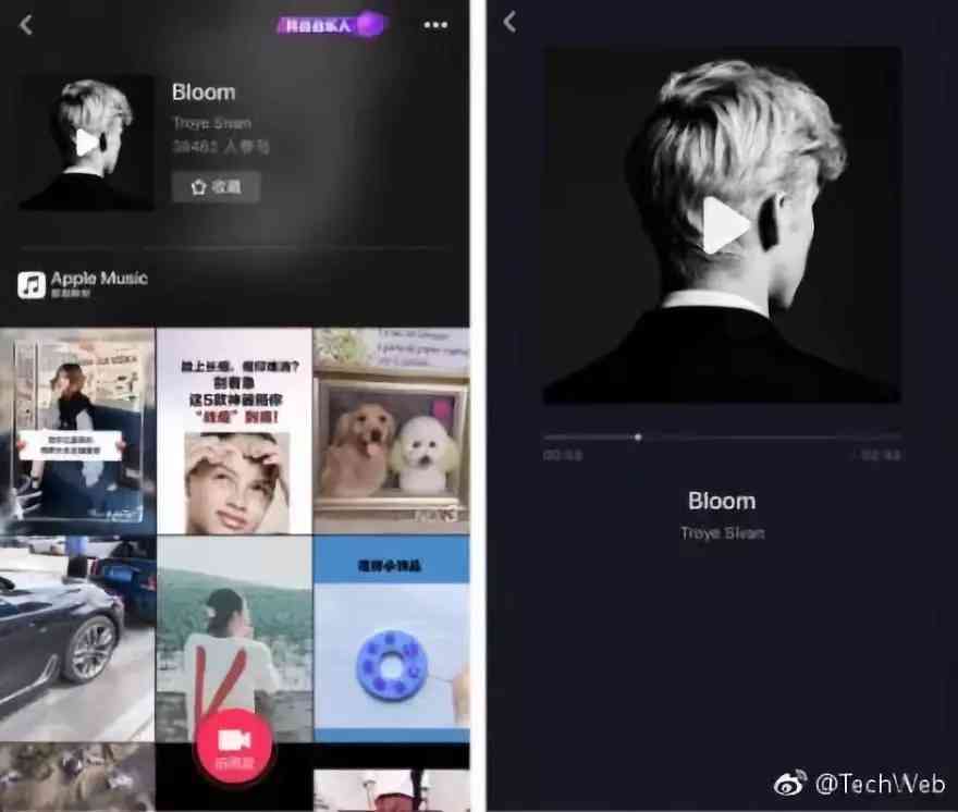 抖音热门豆包歌手——个人音乐历程与艺术风采简介