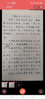 '智能在线作文批改与辅导系统'