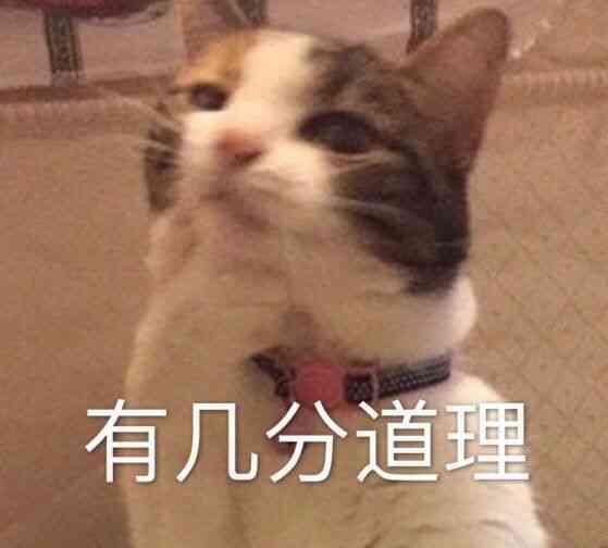 全方位收录：最搞笑的一本正经沙雕文案短句，解决你的所有搜索需求