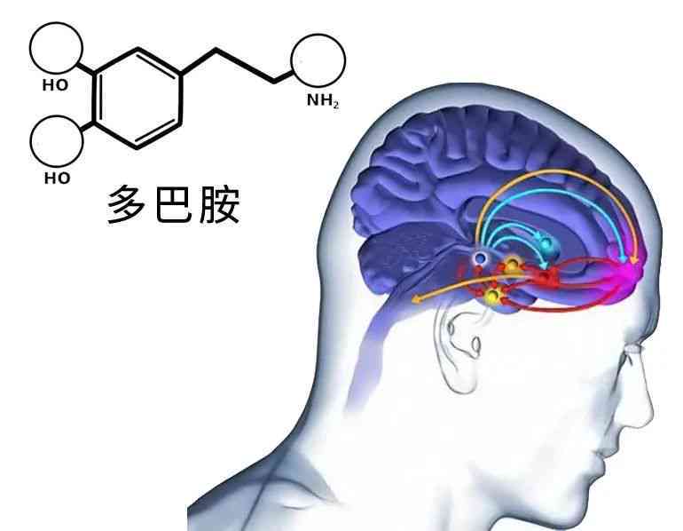 探索多巴胺效应：唯美句子与情绪提升的极指南