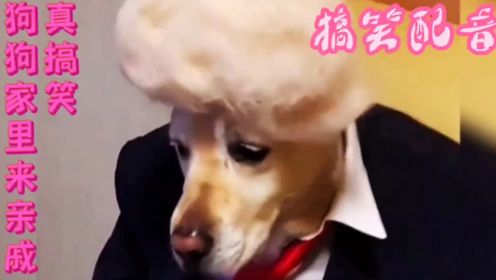 爆笑搞笑配音素材：全面收录热门搞笑语音子与创意搞笑对白