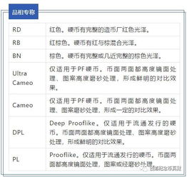 工伤未评级情况下的赔偿指南：详解赔偿流程与标准