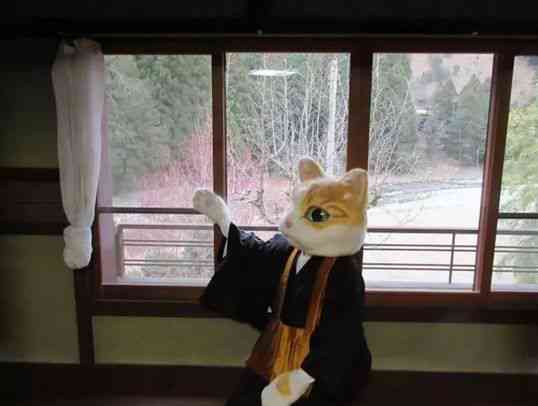 ai绘画关键词猫咪文案推荐：如何撰写吸引眼球的猫咪绘画文案