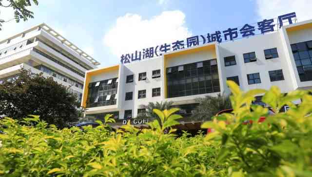 东莞松山湖劳动纠纷找哪里：劳动局投诉及监察大队电话查询