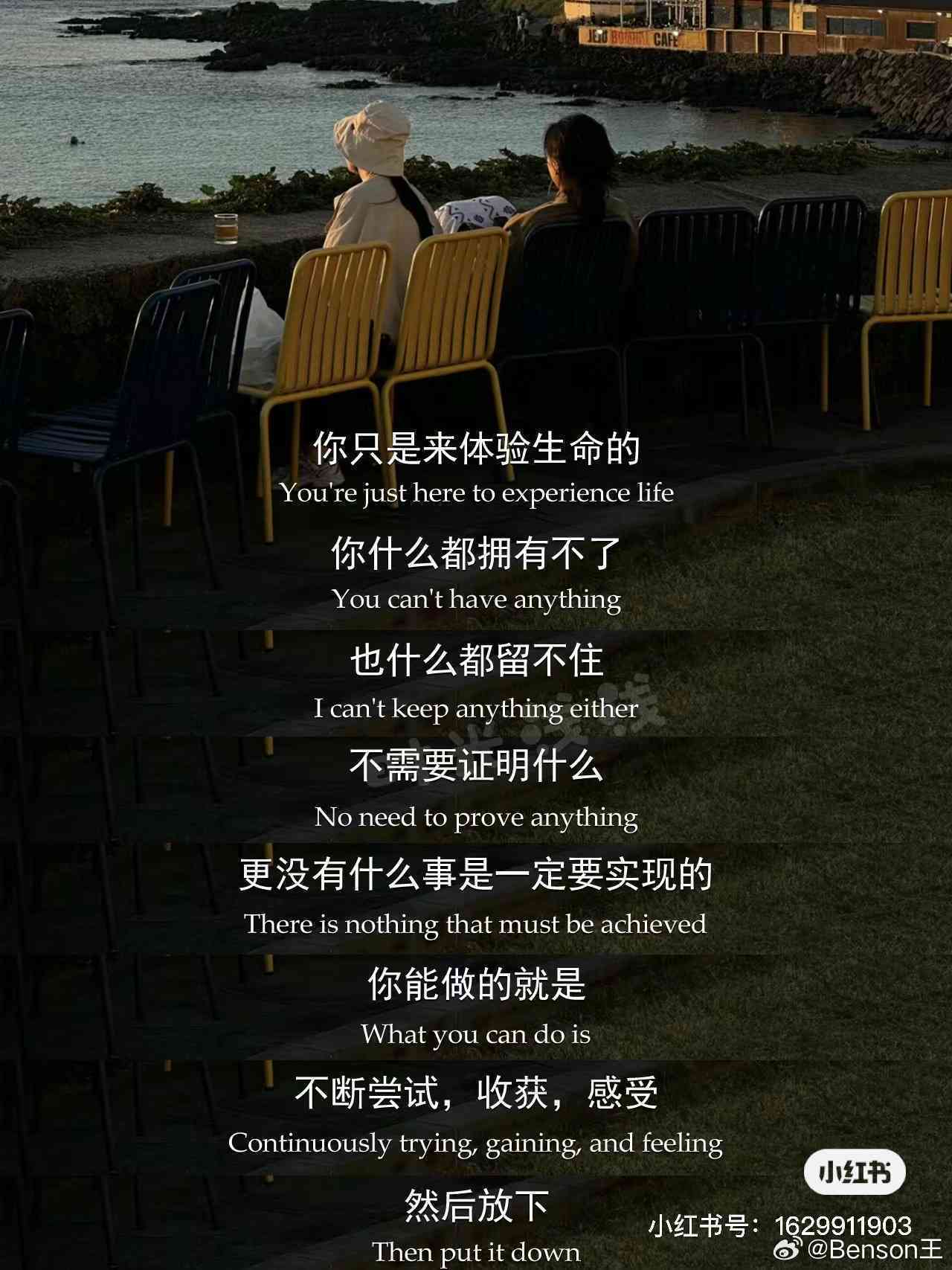 把爱一个人当成自己的事业：台词出处、深层含义与说说精选