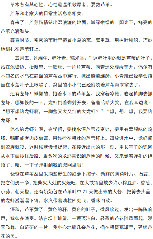 AI助阵，智能撰写参赛作文惊艳作文比赛